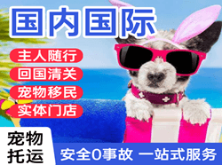 秦皇岛航空货运国际宠物托运 【国